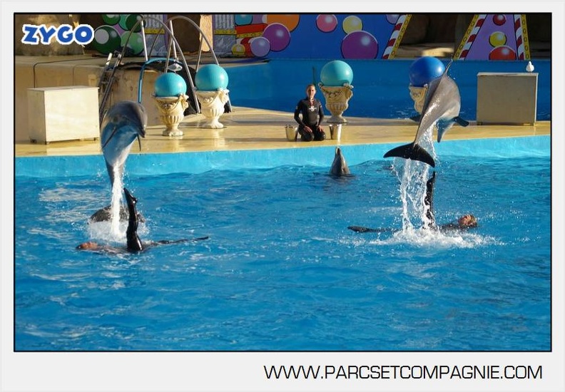Marineland - Dauphins - Spectacle jour - 7216