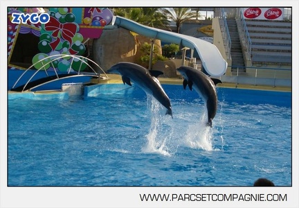 Marineland - Dauphins - Spectacle jour - 7223