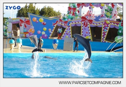 Marineland - Dauphins - Spectacle jour - 7224