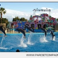 Marineland - Dauphins - Spectacle jour - 7229
