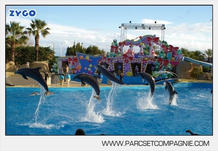 Marineland - Dauphins - Spectacle jour - 7229