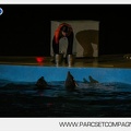 Marineland - Dauphins - Spectacle nocturne - 7235