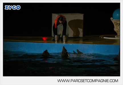 Marineland - Dauphins - Spectacle nocturne - 7235