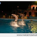Marineland - Dauphins - Spectacle nocturne - 7237