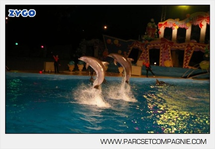 Marineland - Dauphins - Spectacle nocturne - 7237