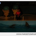 Marineland - Dauphins - Spectacle nocturne - 7239