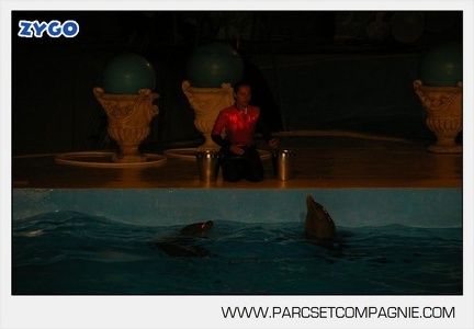 Marineland - Dauphins - Spectacle nocturne - 7239