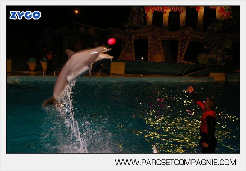 Marineland - Dauphins - Spectacle nocturne - 7241