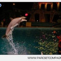 Marineland - Dauphins - Spectacle nocturne - 7241