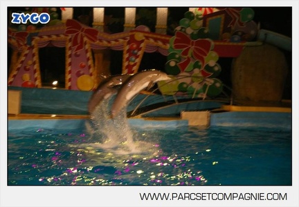 Marineland - Dauphins - Spectacle nocturne - 7242