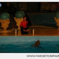 Marineland - Dauphins - Spectacle nocturne - 7243