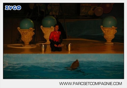 Marineland - Dauphins - Spectacle nocturne - 7243