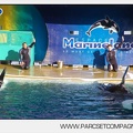 Marineland - Orques - Spectacle - 7261