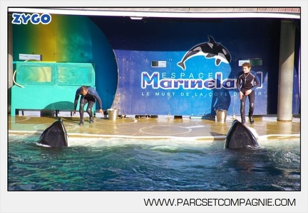Marineland - Orques - Spectacle - 7264