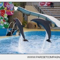 Marineland - Dauphins - Spectacle - 14h45 - 7453