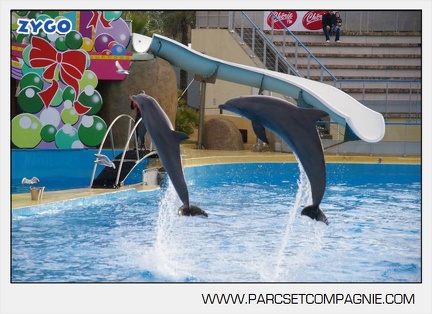 Marineland - Dauphins - Spectacle - 14h45 - 7453