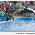 Marineland - Dauphins - Spectacle - 14h45 - 7454