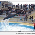 Marineland - Dauphins - Spectacle - 14h45 - 7455