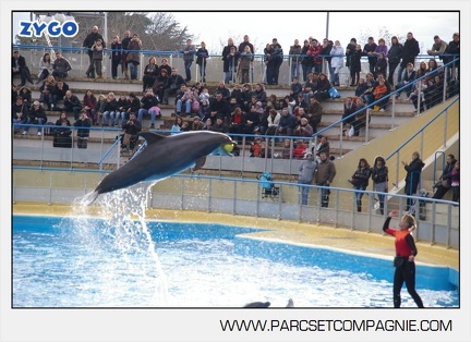 Marineland - Dauphins - Spectacle - 14h45 - 7455