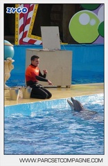 Marineland - Dauphins - Spectacle - 14h45 - 7456