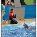 Marineland - Dauphins - Spectacle - 14h45 - 7456