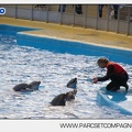 Marineland - Dauphins - Spectacle - 14h45 - 7457