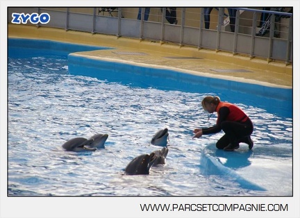Marineland - Dauphins - Spectacle - 14h45 - 7457