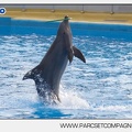 Marineland - Dauphins - Spectacle - 14h45 - 7459