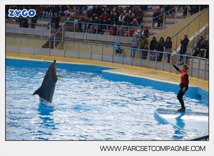 Marineland - Dauphins - Spectacle - 14h45 - 7460