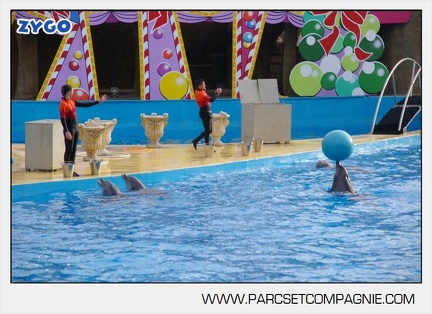 Marineland - Dauphins - Spectacle - 14h45 - 7461