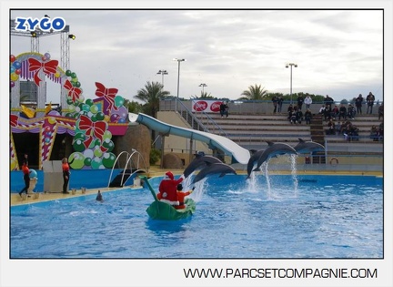 Marineland - Dauphins - Spectacle - 14h45 - 7466