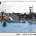 Marineland - Dauphins - Spectacle - 14h45 - 7467
