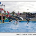 Marineland - Dauphins - Spectacle - 14h45 - 7468