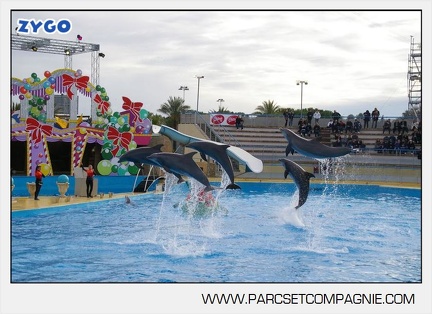 Marineland - Dauphins - Spectacle - 14h45 - 7468