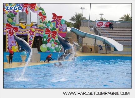Marineland - Dauphins - Spectacle - 14h45 - 7469