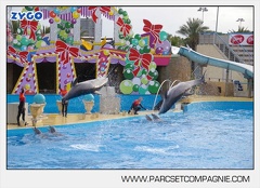 Marineland - Dauphins - Spectacle - 14h45 - 7470