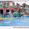 Marineland - Dauphins - Spectacle - 14h45 - 7470