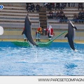 Marineland - Dauphins - Spectacle - 14h45 - 7471