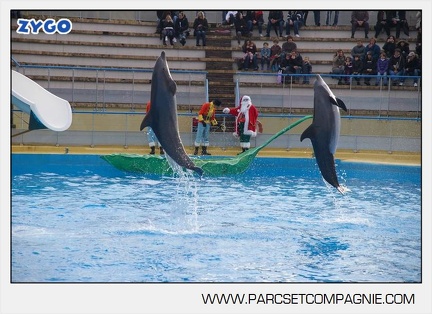 Marineland - Dauphins - Spectacle - 14h45 - 7471