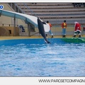 Marineland - Dauphins - Spectacle - 14h45 - 7472