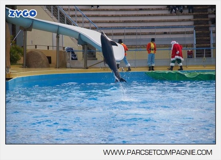Marineland - Dauphins - Spectacle - 14h45 - 7472