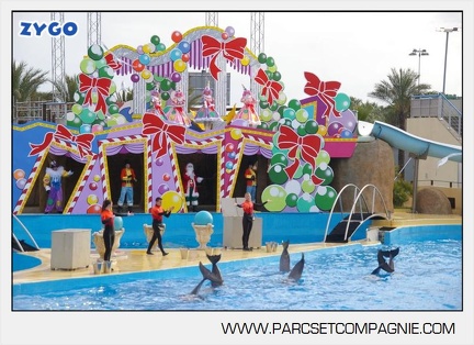Marineland - Dauphins - Spectacle - 14h45 - 7476