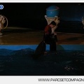 Marineland - Dauphins - Spectacle - 17h30 - 7478