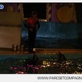 Marineland - Dauphins - Spectacle - 17h30 - 7480