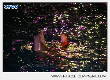 Marineland - Dauphins - Spectacle - 17h30 - 7485
