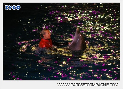 Marineland - Dauphins - Spectacle - 17h30 - 7486