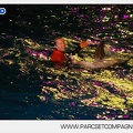 Marineland - Dauphins - Spectacle - 17h30 - 7492