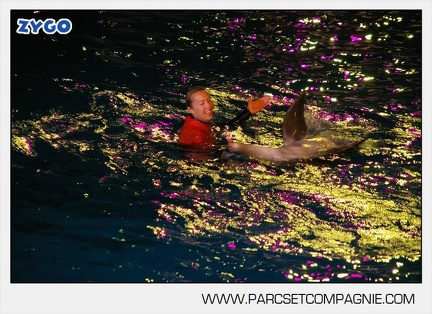 Marineland - Dauphins - Spectacle - 17h30 - 7492