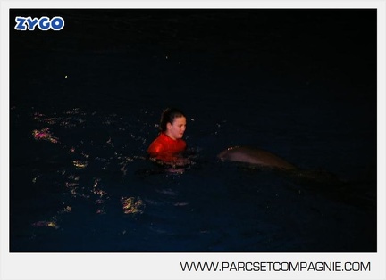 Marineland - Dauphins - Spectacle - 17h30 - 7504