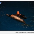 Marineland - Dauphins - Spectacle - 17h30 - 7505